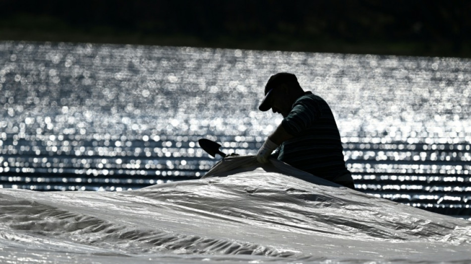 Bauernverband pocht auf Ausnahmen beim Mindestlohn f&uuml;r Saisonarbeiter