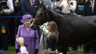Horse racing: Queen Elizabeth II's abiding sporting passion
