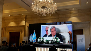 L&iacute;deres internacionais reunidos no Egito pedem cessar-fogo e ajuda para Gaza