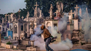 La OPS alerta de un aumento del dengue, Oropouche y gripe aviar en las Am&eacute;ricas