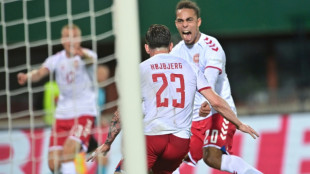 Ligue des nations: le Danemark encha&icirc;ne en Autriche 