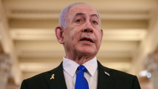 Trump se re&uacute;ne de nuevo con Netanyahu para poner fin a "tragedia" en Gaza