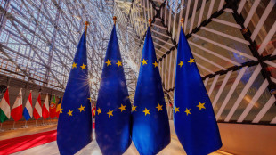 Ue, Zelensky eletto legittimamente, Russia non &egrave; democrazia