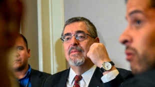 Partido del presidente electo de Guatemala pide anular suspensi&oacute;n con apoyo internacional