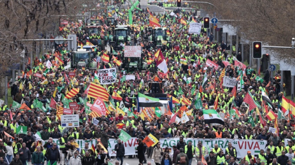 Los agricultores espa&ntilde;oles vuelven a protestar con sus tractores en el centro de Madrid 