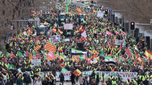 Los agricultores espa&ntilde;oles vuelven a protestar con sus tractores en el centro de Madrid 