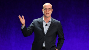 El resurgimiento de los cines en EEUU puede beneficiar a Netflix, seg&uacute;n ejecutivo