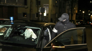 La polic&iacute;a detiene a 31 sospechosos en un nuevo golpe contra la mafia italiana