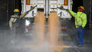 Mann auf Bauernhof in Baden-W&uuml;rttemberg unter Mais begraben und gestorben