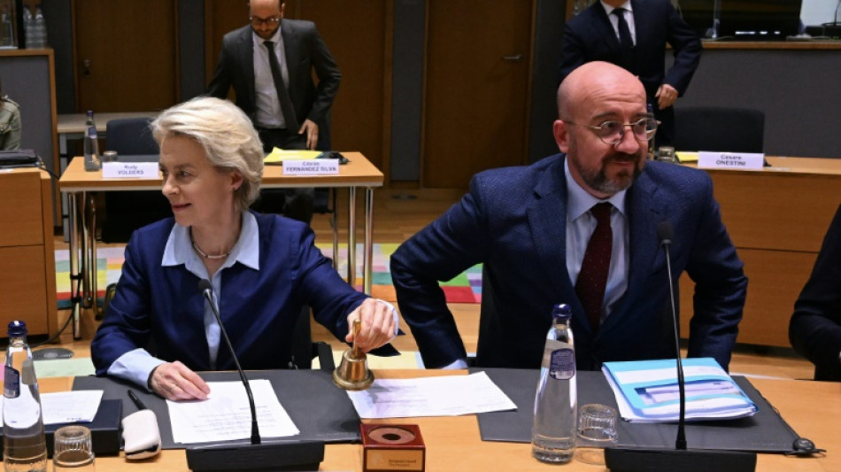 Los mandatarios de la UE retoman la discusi&oacute;n sobre el env&iacute;o de armas a Ucrania
