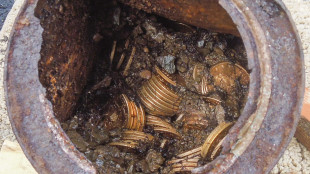 Musk rilancia, 'aboliamo il penny, costa pi&ugrave; di quanto vale'