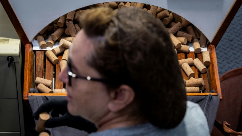 Portugal, principal productor de corcho, busca nuevos usos para este material ecol&oacute;gico