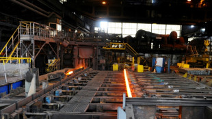 Ascometal: le sort de Fos tranch&eacute; vendredi, nouvelle audience le 28 juin pour les autres sites