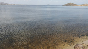 Desarticulan en Espa&ntilde;a una red de tr&aacute;fico de migrantes implicada en la muerte de dos brit&aacute;nicos