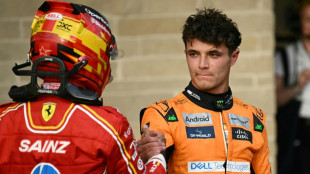 F1: Norris domine l'unique s&eacute;ance d'essais libres au Br&eacute;sil