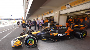 F1: Messico, McLaren le pi&ugrave; veloci nelle terze libere