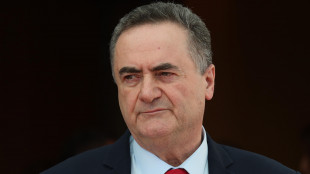 Katz, 'Hamas pagher&agrave; caro attacco truppe e inerzia su ostaggi'