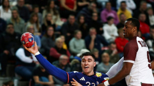 Mondial-2025 de hand: Fabregas, capitaine de r&eacute;serve