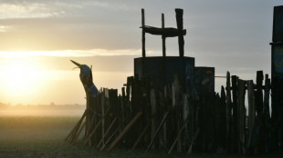 Deux-S&egrave;vres: le chantier de la "bassine" n'a pas encore repris