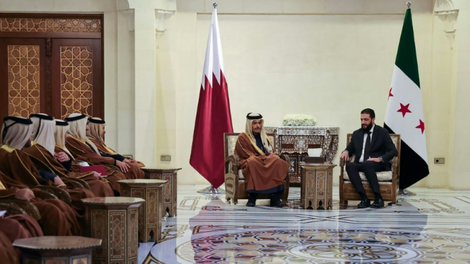 Catar exige a Israel retirarse "inmediatamente" de la zona de contenci&oacute;n en la frontera siria