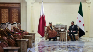 Catar exige a Israel retirarse "inmediatamente" de la zona de contenci&oacute;n en la frontera siria