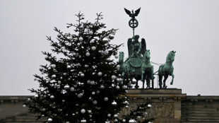 Geldstrafe f&uuml;r Klimaaktivistin nach Abs&auml;gen von Christbaumspitze in Berlin