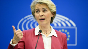 Gemeinsame Gask&auml;ufe der EU-L&auml;nder sollen teils Pflicht werden