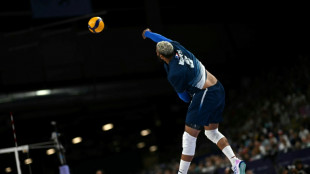 "Top pour le volley fran&ccedil;ais", affirme Ngapeth au sujet de son retour