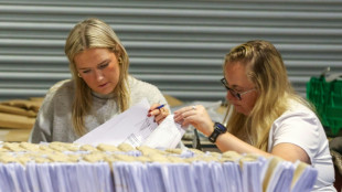 Pr&auml;sidentschaftswahl in Irland: Sieg von linker Kandidatin Connolly zeichnet sich ab