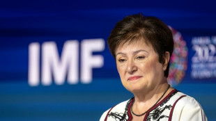 Israel-Hamas war a 'new cloud' over world economy: IMF