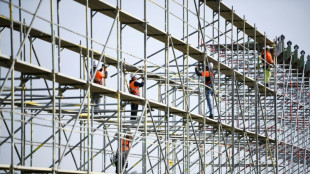 DIW-Chef Fratzscher wirft Parteien Irref&uuml;hrung der W&auml;hler vor