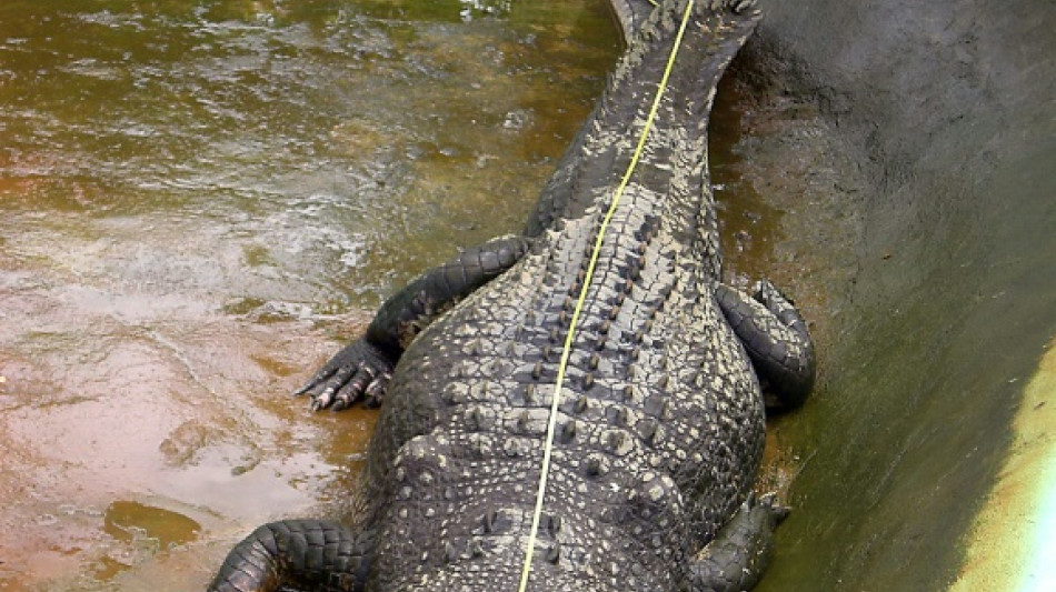 Un experto brit&aacute;nico en cocodrilos, sentenciado a prisi&oacute;n por abuso sexual de perros