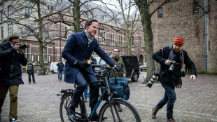 'Teflon' Dutch PM finally comes unstuck