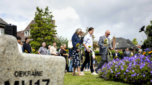 Onu, 'Russia responsabile abbattimento volo MH17'