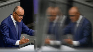 Merz: Konzept der "Remigration" ist nichts anderes als "ethnische S&auml;uberung"