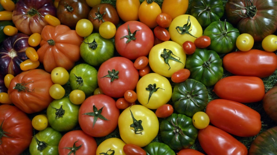 Mehr als eine Tonne Gem&uuml;se: Deutsches Weltraumgew&auml;chshaus erfolgreich getestet