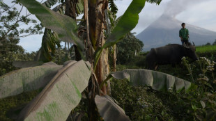 Tissus "salade de fruits" et autres pistes pour moins nuire &agrave; la plan&egrave;te