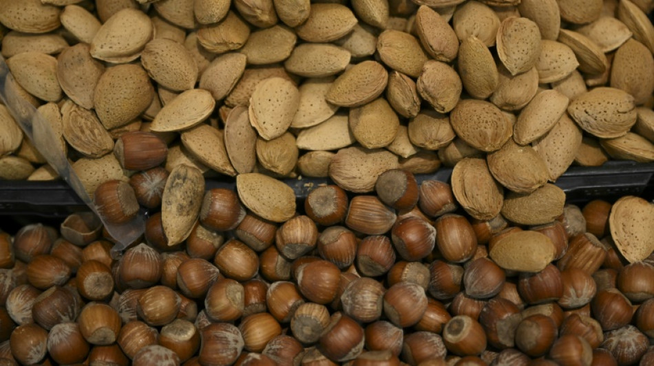 T&uuml;rkische Wettbewerbsbeh&ouml;rde leitet Ermittlungen gegen Ferrero ein 