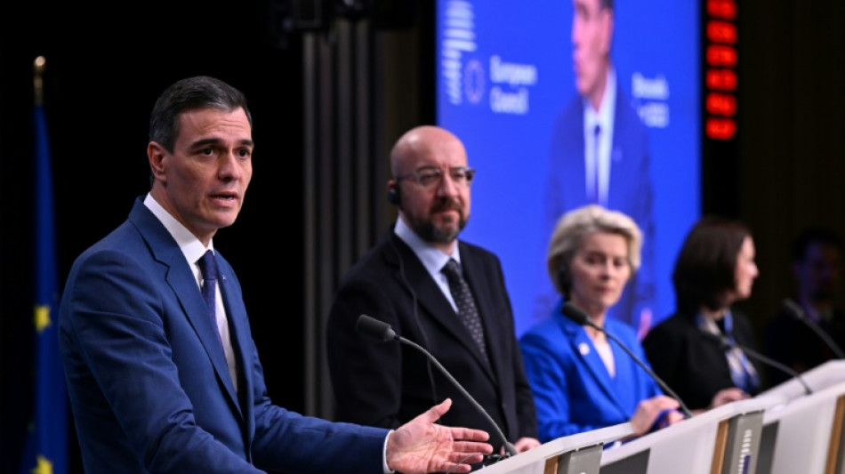 Espa&ntilde;a e Irlanda piden a la UE que investigue si Israel respeta los DDHH en Gaza