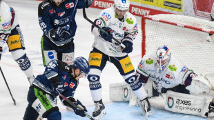 Erster Matchball abgewehrt: Straubing verk&uuml;rzt gegen Berlin