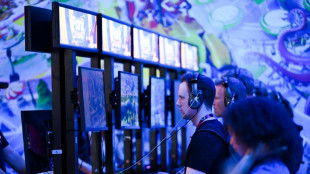 Fans k&auml;mpfen f&uuml;r Erhalt abgeschalteter Videospiele