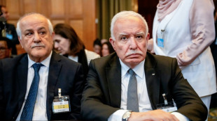 La Corte Internacional de la Haya afirma que la ocupaci&oacute;n israel&iacute; de los territorios palestinos es "ilegal"