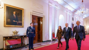 Biden y Obama vuelven a formar equipo por un d&iacute;a