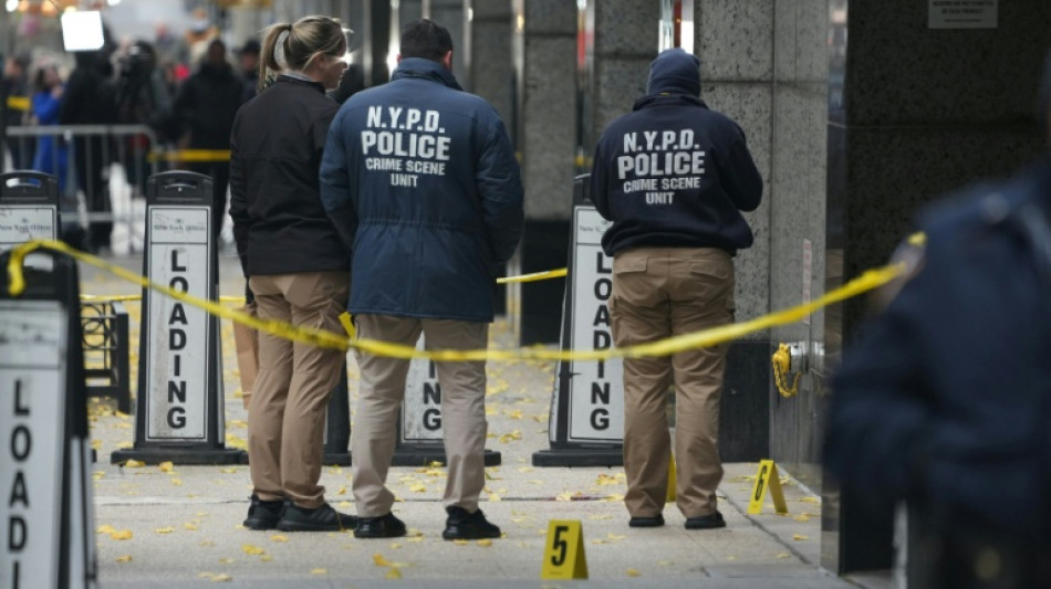 'Who's next?': Misinformation and online threats after US CEO slaying