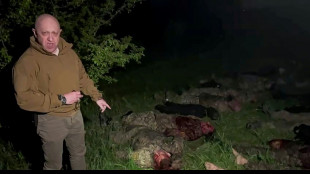 Ukraine: le groupe Wagner menace de quitter Bakhmout et &eacute;reinte l'&eacute;tat-major russe