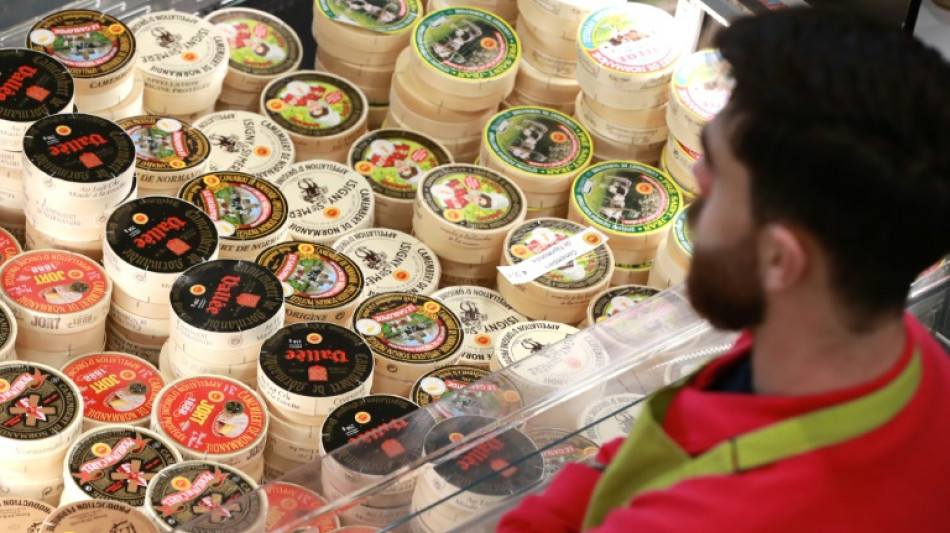 Les r&eacute;f&eacute;rences &agrave; la Normandie sont r&eacute;serv&eacute;es aux camemberts AOP, tranche une cour d'appel