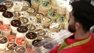 Les r&eacute;f&eacute;rences &agrave; la Normandie sont r&eacute;serv&eacute;es aux camemberts AOP, tranche une cour d'appel