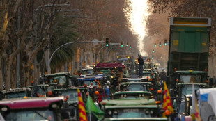 "La bureaucratie nous &eacute;touffe": en Espagne, les agriculteurs ne d&eacute;col&egrave;rent pas