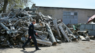Russland will "gro&szlig;e Menge" westlicher Waffen in der Ukraine zerst&ouml;rt haben