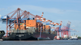 Fast 700 Kilogramm Kokain in Container mit Holzpellets in Hamburg beschlagnahmt